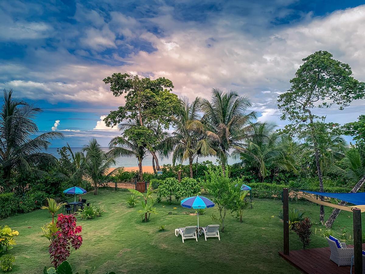 Oasis Bluff Beach Бокас дел Торо Екстериор снимка