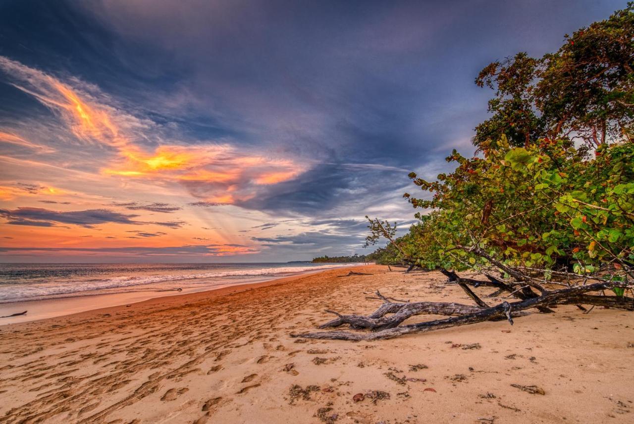 Oasis Bluff Beach Бокас дел Торо Екстериор снимка