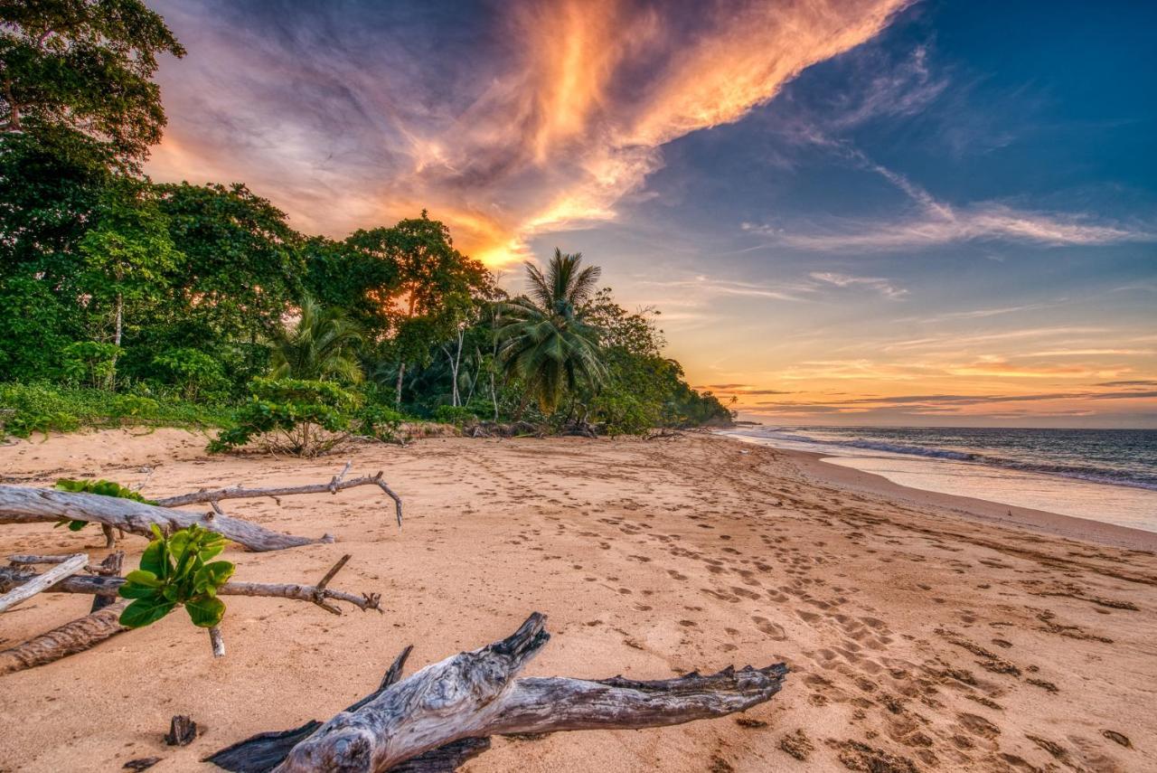 Oasis Bluff Beach Бокас дел Торо Екстериор снимка