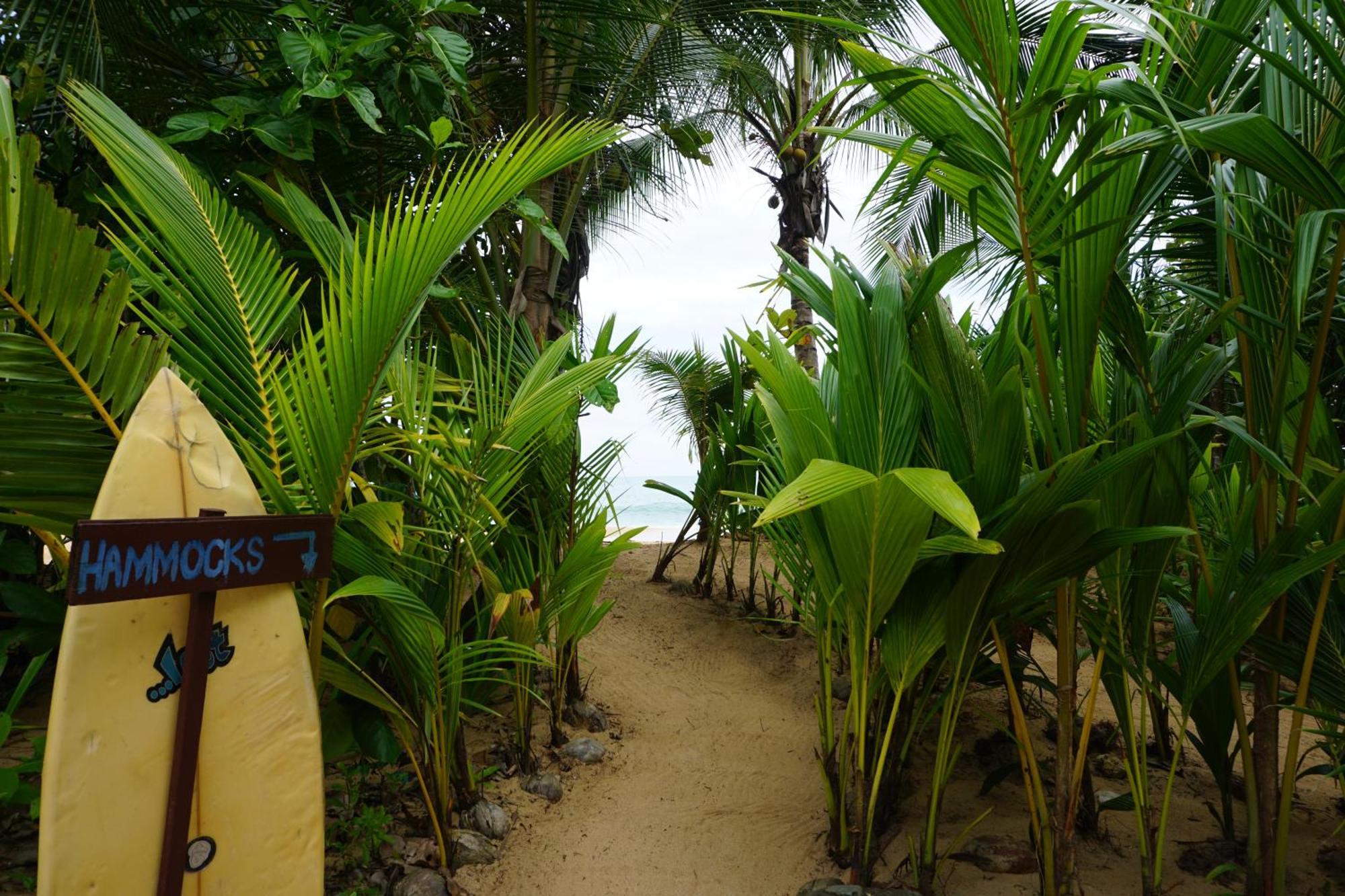 Oasis Bluff Beach Бокас дел Торо Екстериор снимка