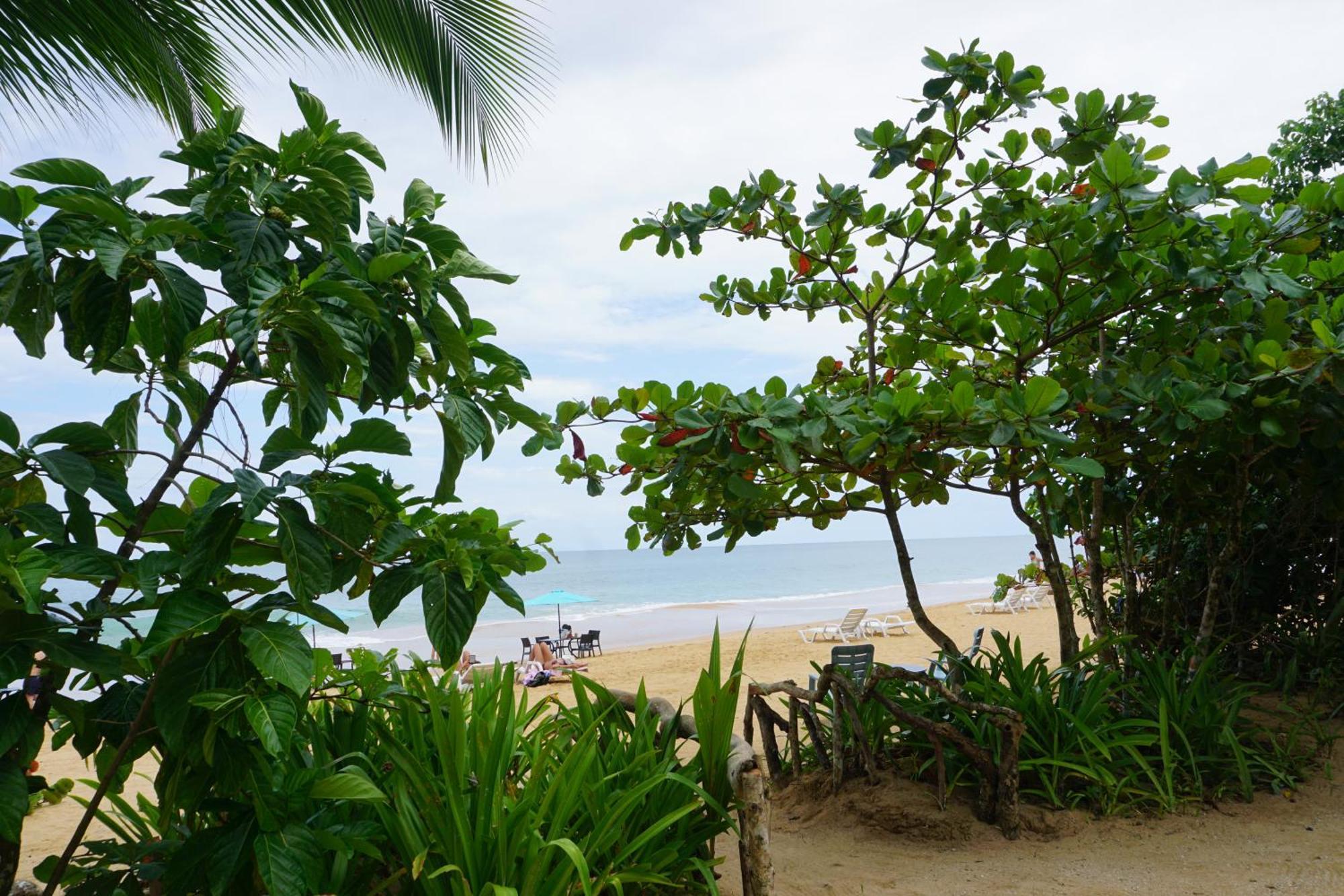 Oasis Bluff Beach Бокас дел Торо Екстериор снимка